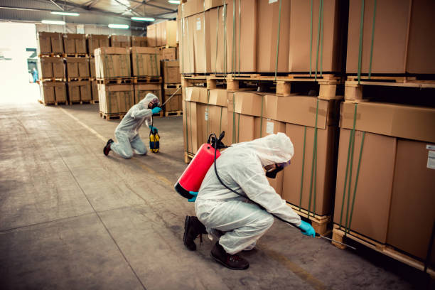 Wasp Removal Services in Amity Gardens, PA
