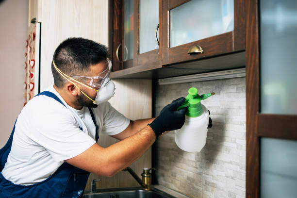 Best Commercial Pest Control Services  in Amity Gardens, PA