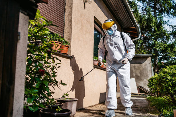 Wasp Removal Services in Amity Gardens, PA