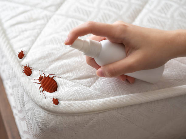Flea Control Services in Amity Gardens, PA