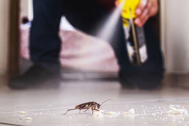 Best Pest Prevention Services  in Amity Gardens, PA